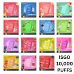 Isgo Bar 10000 Puffs Disposable Vape Vape Shop Dubai Uae