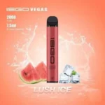 Isgo Vegas 2800 Puffs Disposable Vape Vape Shop Dubai Uae 6