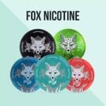 New White Fox Nicotine Pouches Vape Shop Dubai Uae 5