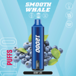 Smooth Whale 12000 Puffs Disposable Vape Vape Shop Dubai Uae 2