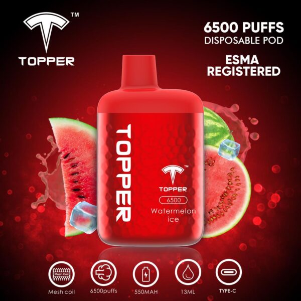 Topper Disposable Vape 6500 Puffs Vape Shop Dubai Uae