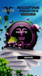 IGNITE Nicotine Pouches 1