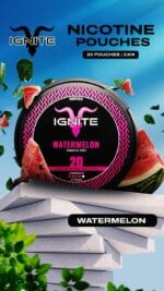 IGNITE Nicotine Pouches 5