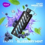 Vozol Gear Shisha blueberry mint 25000 Puffs Disposable Vape In UAE