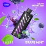 Vozol Gear Shisha grape mint 25000 Puffs Disposable Vape In UAE