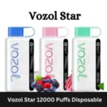 New Vozol Star 12000 Puffs Disposable Vape In Dubai Vape Shop Dubai Uae