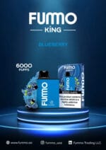 Fummo King 6000 Puffs 2 nicotine blueberry Disposable Vape Buy in UAE Dubai