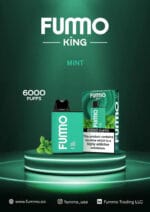 Fummo King 6000 Puffs 2 nicotine mint Disposable Vape Buy in UAE Dubai