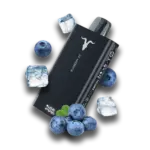 IGNITE V150 Disposable Vape BLUEBERRY ICE