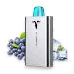 IGNITE V50 5000 Puffs blueberry ice 20mg Disposable Vape