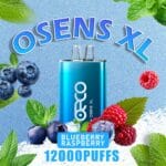 BECO OSENS XL BLUEBERRY RASPBERRY 12000 PUFFS IN DUBAI UAE