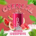 BECO OSENS XL LUSH ICE 12000 PUFFS IN DUBAI UAE