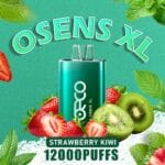 BECO OSENS XL STRAWBERRY KIWI 12000 PUFFS IN DUBAI UAE