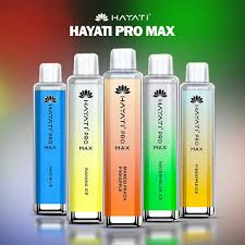 Hayati Pro Max 4000 Puffs Disposable Vape In Dubai UAE