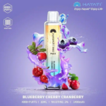 Hayati Pro Max Blueberry Cherry Cranberry 4000 Puffs Disposable Vape In Dubai UAE