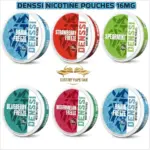 DENSSI Energy Pouches