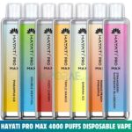 Hayati Pro Max 4000 Puffs Disposable Vape