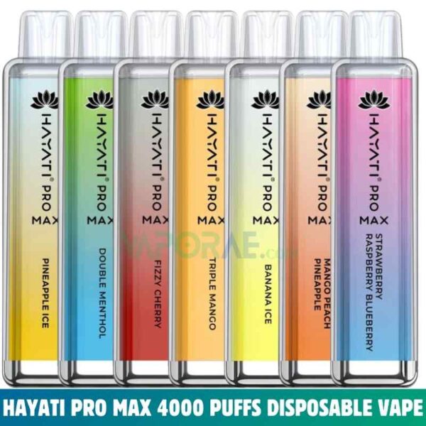 Hayati Pro Max 4000 Puffs Disposable Vape