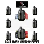 Lost Mary BM15000 Puffs Vape