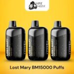 Lost Mary BM15000 Puffs Vape 2