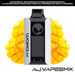 download 2025 08 31T150752.425