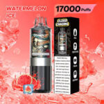 download 2025 08 31T171325.901