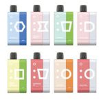 ELF BAR EW9000 Prefilled Pod Kit