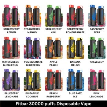 Fitbar 30000 Puffs DTL Disposable Vape