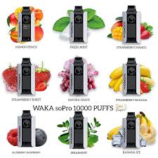 WAKA SoPro 10000 Puffs Disposable Vape