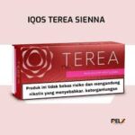 download 2025 09 03T190736.429