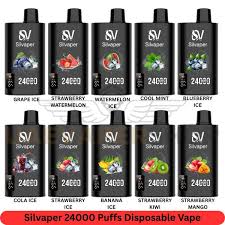 Silvaper Rechargeable Disposable Vape