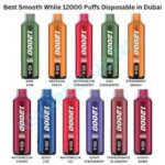 Smooth Whale 12000 Puffs Disposable Vape